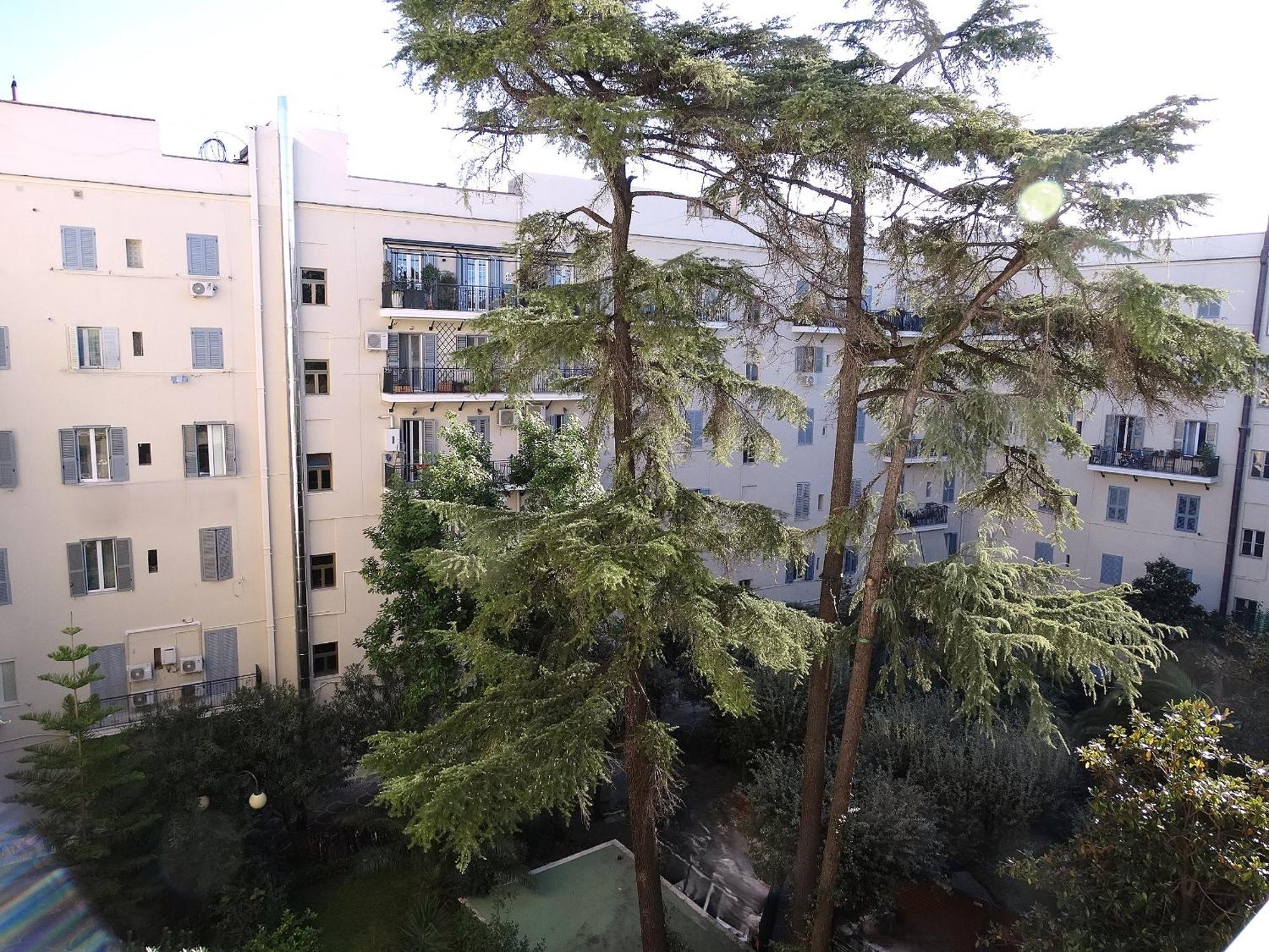 Domus Dino Apartment Roma Exterior foto