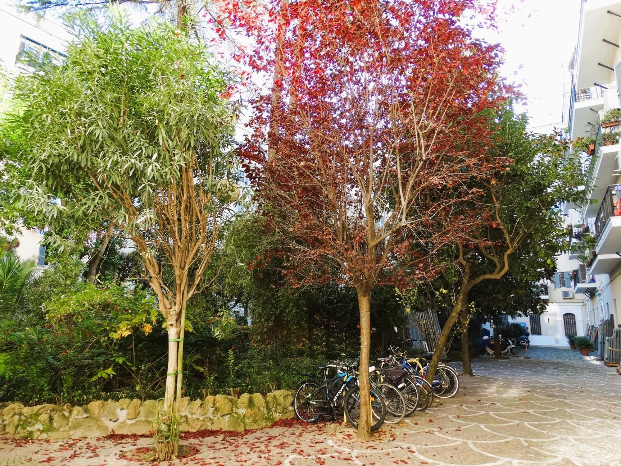 Domus Dino Apartment Roma Exterior foto
